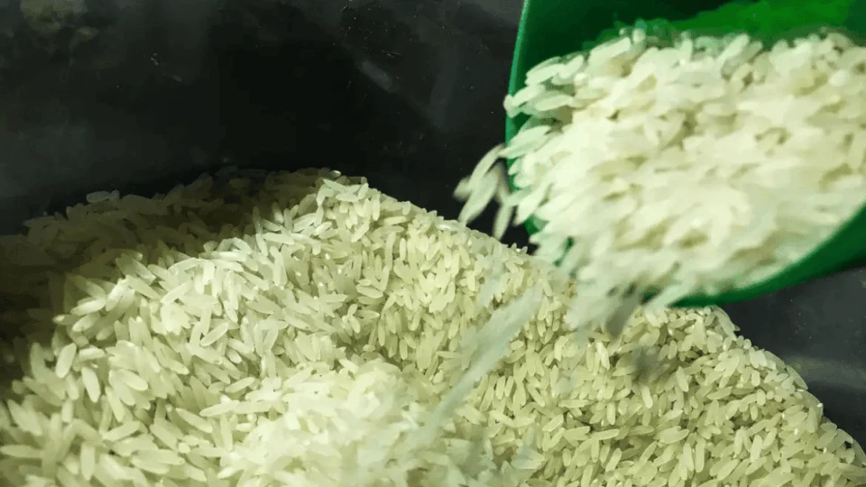 Preço do arroz pode aumentar com chuvas no RS? Entenda impacto