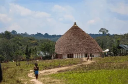 Ações de saúde reduzem em 27,6% a mortalidade no território Yanomami