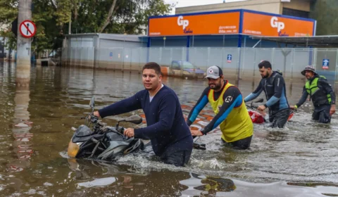 Sul lidera número de casos de leptospirose e registra 26 óbitos em 2024