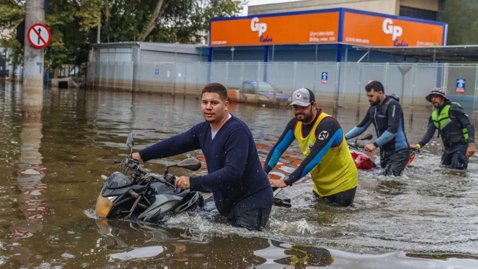 Sul lidera número de casos de leptospirose e registra 26 óbitos em 2024