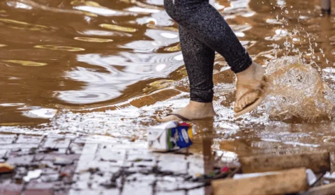 Saúde durante enchentes: como evitar doenças após alagamentos; Instituto Butantan revela dicas