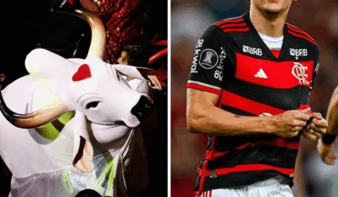 Flamengo compartilha paródia com toada do Garantido no Instagram; ouça
