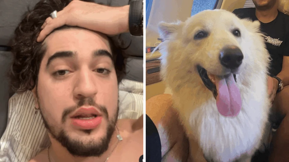 Henrique e Juliano se arrependem de roubarem os cachorros de Nattan; entenda