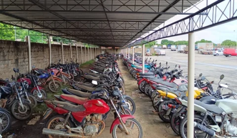 PRF realiza 1º Leilão Virtual de Veículos 2024 em Roraima; saiba como participar