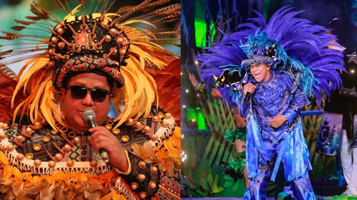 levantador de toadas-capa