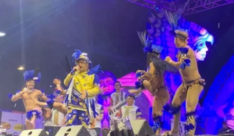 Norte Bumbás 2024: saiba como garantir ingressos gratuitos para a festa