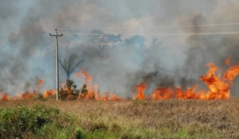 Ministério do Meio Ambiente elege culpados por queimadas na Amazônia; entenda