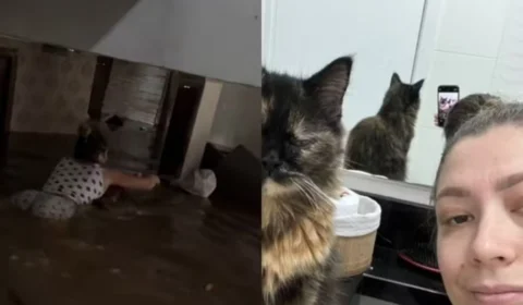 Rio Grande do Sul: com água no pescoço, mulher arrisca vida para salvar gata; veja vídeo