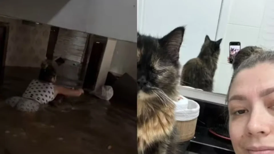 Rio Grande do Sul: com água no pescoço, mulher arrisca vida para salvar gata; veja vídeo