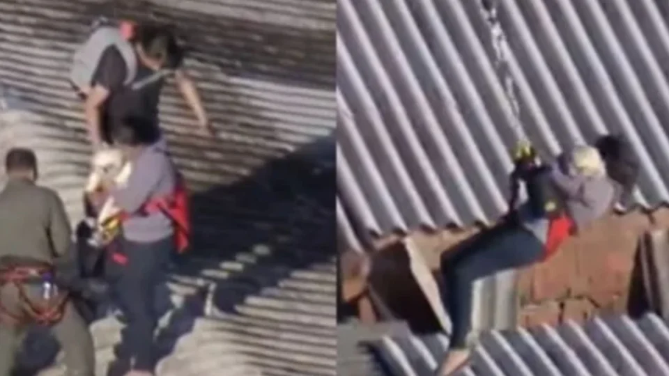 Rio Grande do Sul: vídeo do resgate de mulher e cachorro emociona qualquer um; assista