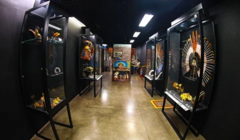 Semana de Museus no Amazonas: saiba como aproveitar programação