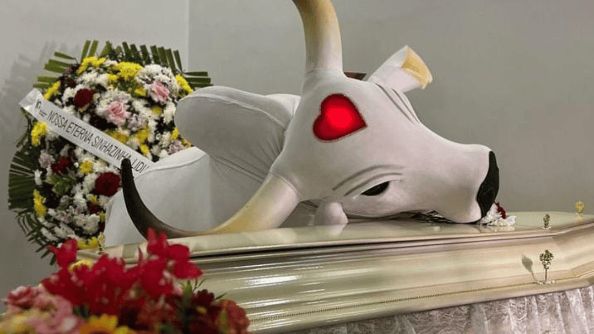 Boi Garantido se despende Djidja - Foto: Reprodução/Instagram/@euafurler_oficial