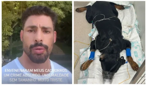 VÍDEO: cachorros de Cauã Reymond foram envenenados na casa dele