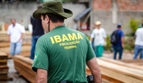 Servidores ambientais iniciam greve nesta segunda-feira (24)