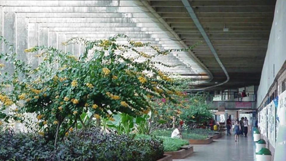 Professores aceitam proposta e greve na UnB chega ao fim