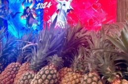 Abacaxis são distribuídos para visitantes no Festival de Parintins