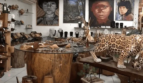 Festival Norte Bumbás promove trabalho de artistas locais