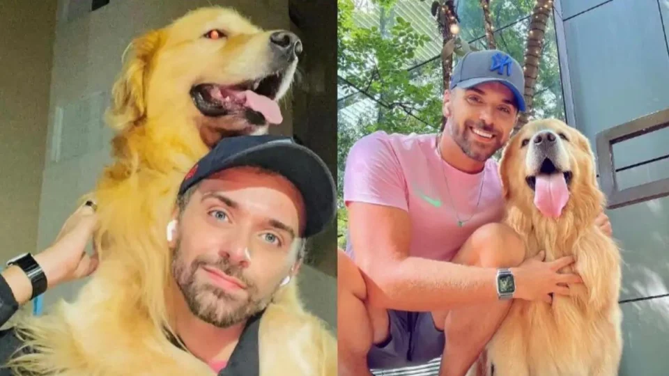 Cão Joca é cremado quase 2 meses após morrer em transporte aéreo