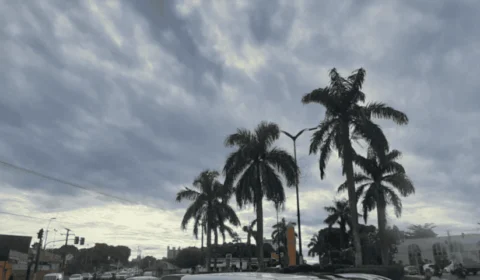 Previsão do tempo: confira o clima para esta terça (11) em Manaus