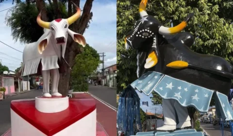 Parintins e tradição: conheça bairros da cidade ‘dividida ao meio’ em azul e vermelho