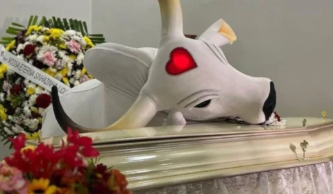 Djidja Cardoso: qual é o papel da sinhazinha no Festival de Parintins?