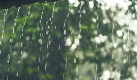 Chuva no Dia dos Namorados? Confira previsão de Manaus hoje