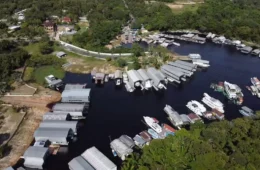 Pesquisa analisa se água do Rio Tarumã-Açu, em Manaus, ainda é própria para banho; confira