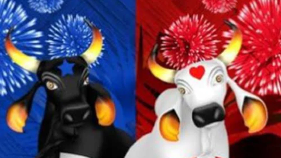 Festival de Parintins: qual é o prêmio para o vencedor?