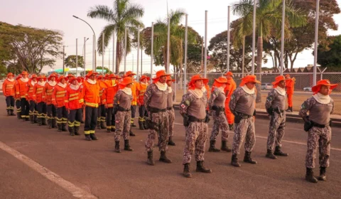 GDF envia bombeiros para combater incêndios no Pantanal