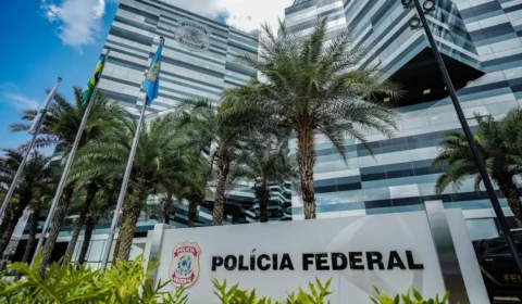 PF combate desmatamento do tamanho de 15 campos de futebol na Amazônia