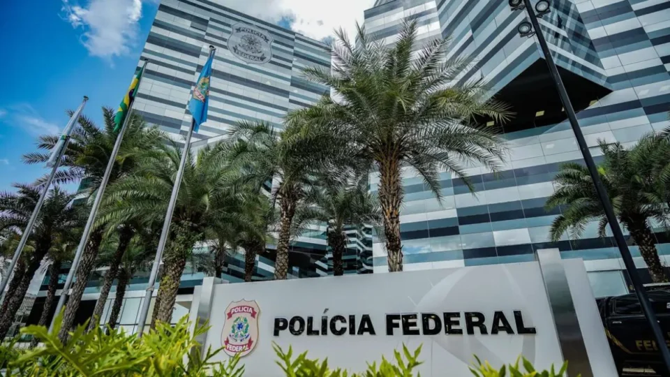 PF combate desmatamento do tamanho de 15 campos de futebol na Amazônia