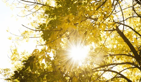 Confira previsão do tempo para esta sexta-feira (14) em Roraima