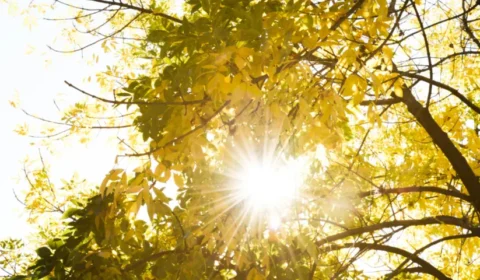 Previsão do tempo: confira o clima para esta quinta (6) em Manaus