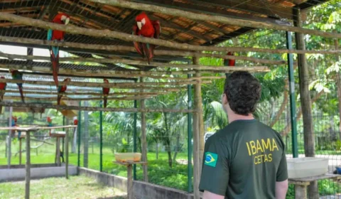 Servidores do Ibama iniciam greve em 18 estados nesta segunda-feira