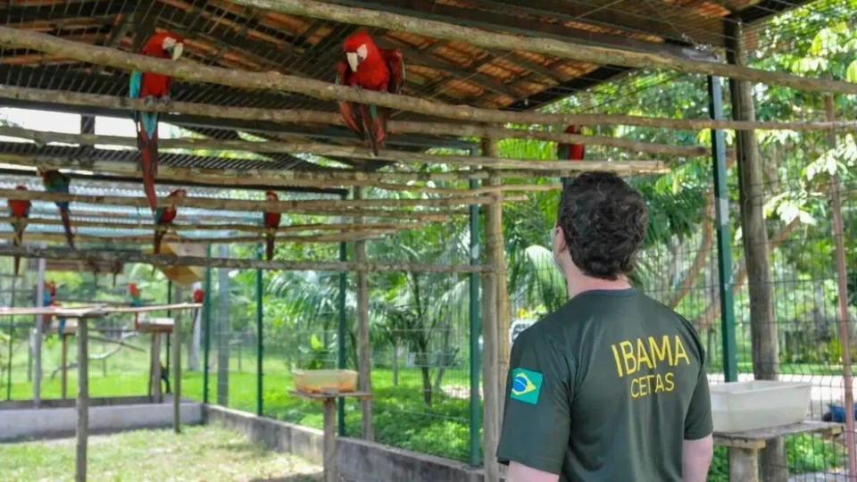 Servidores do Ibama iniciam greve em 18 estados nesta segunda-feira