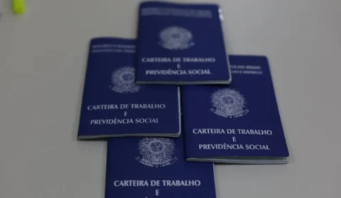 Emprego: Sines ofertam mais de 300 oportunidades nesta quarta (12)