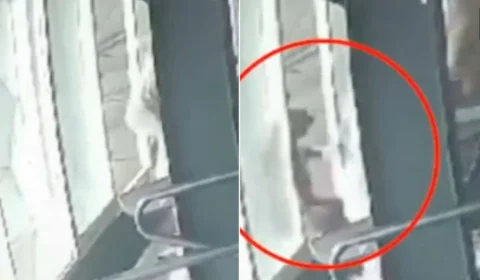 VÍDEO: jovem se desequilibra em esteira e morre de forma trágica