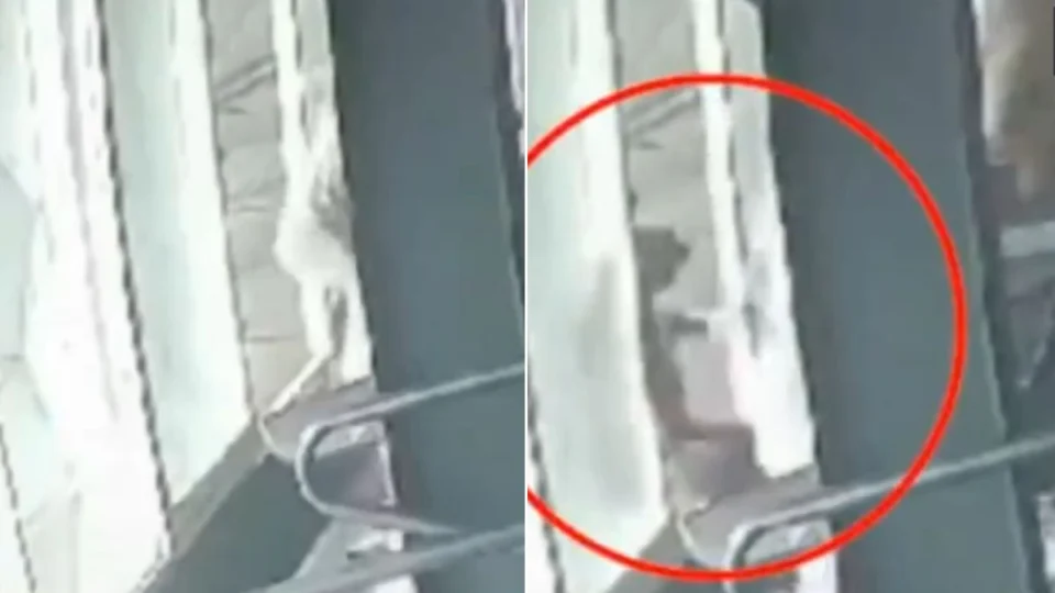 VÍDEO: jovem se desequilibra em esteira e morre de forma trágica