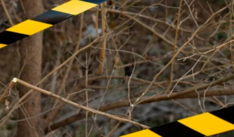 Vídeo: homem leva 10 tiros após ser arrastado para terreno em Manaus