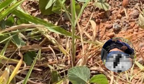 Homem tem pé amputado e morre em acidente na rodovia AM-070 no AM