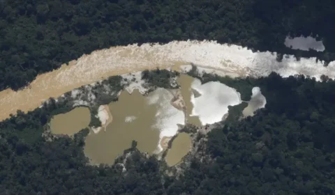 Terra Yanomami: Redução do garimpo ilegal atinge 96% em 2024