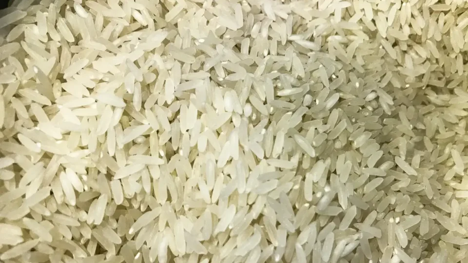 Brasil importa 263 mil toneladas de arroz em leilão
