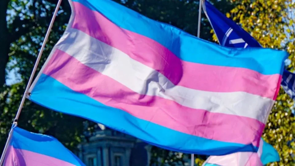 DPE-RR promove mutirão para retificação de nome e gênero para pessoas trans em Boa Vista