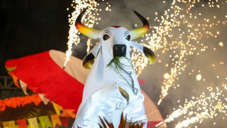 Bisneta de Lindolfo assume como ‘Mãe Catirina’ do Garantido; saiba quem