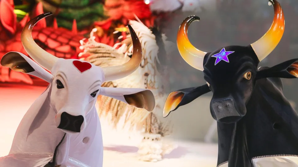 Festival de Parintins: como é escolhido o ganhador da competição