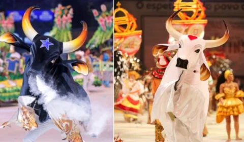 Festival de Parintins: confira os itens do Boi Caprichoso em 2024