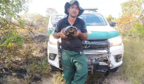 Brigadista do Ibama é morto a tiros no Tocantins
