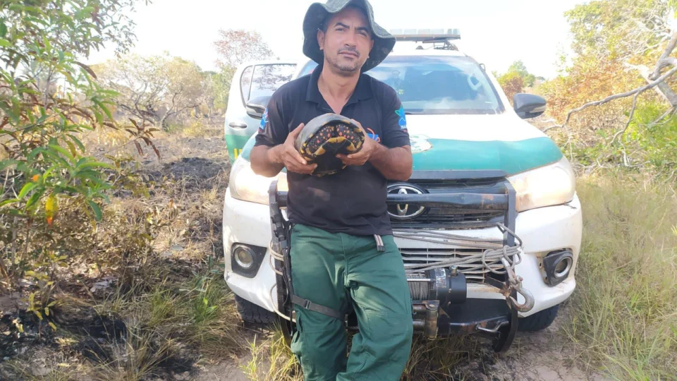 Brigadista do Ibama é morto a tiros no Tocantins