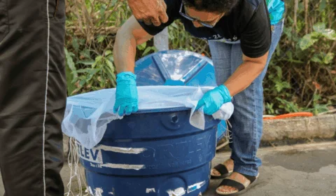 Em cinco meses, AM contabiliza mais de 4 mil casos de dengue