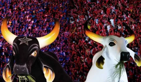 Festival de Parintins 2025: venda de ingressos começa no sábado (21); confira detalhes